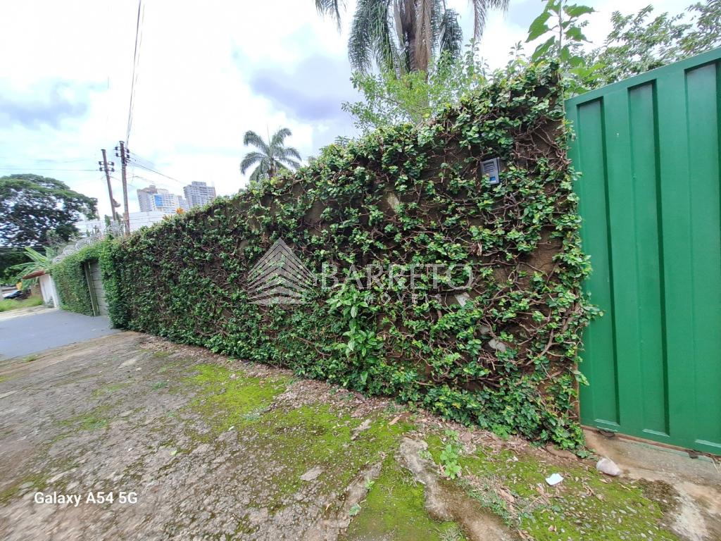 Primeira Dica