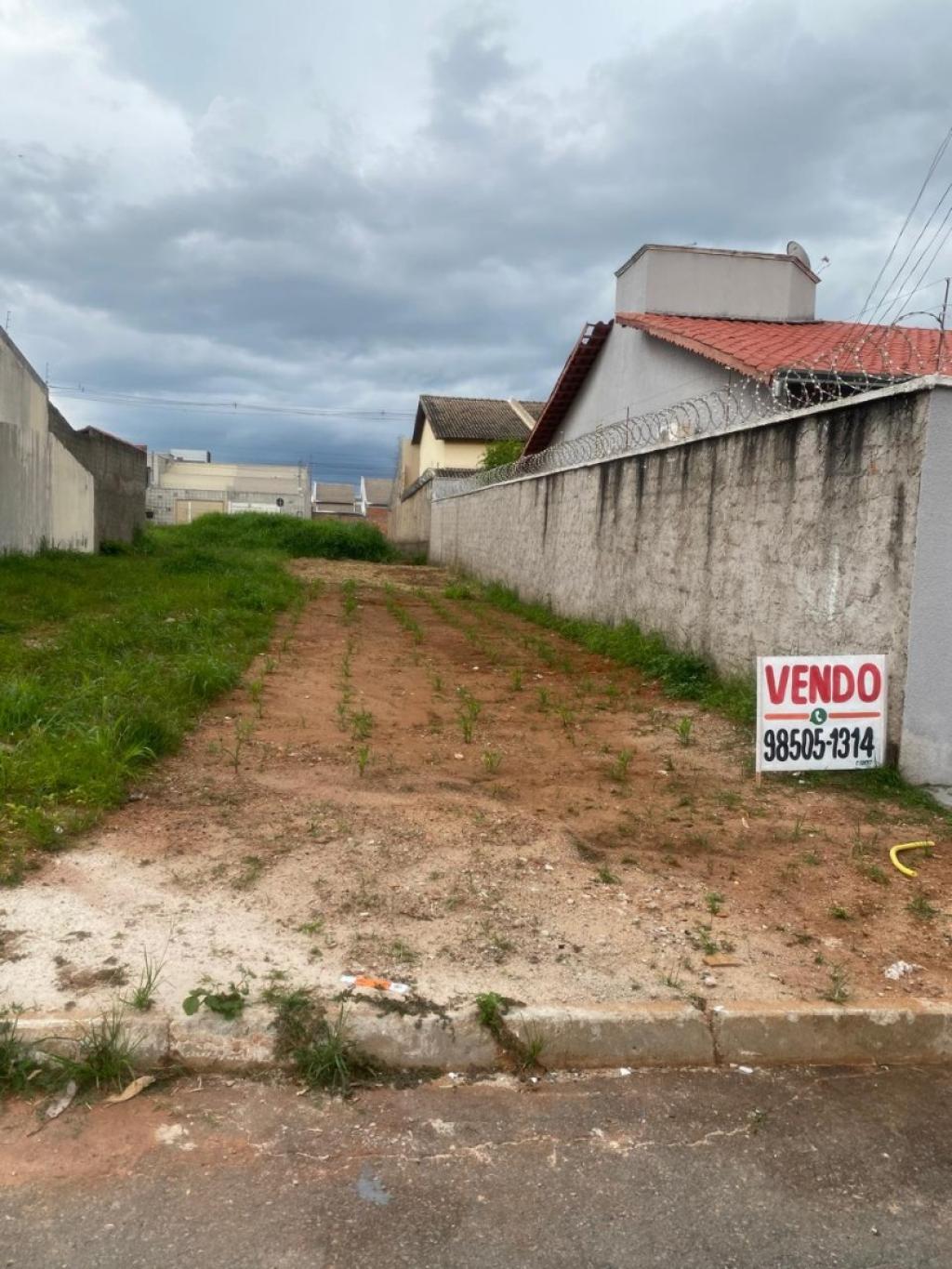 Primeira Dica