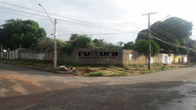 Primeira Dica