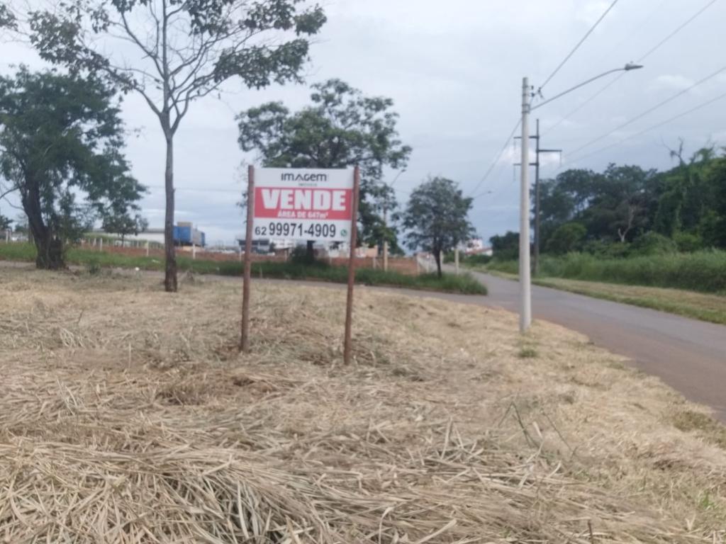 Primeira Dica