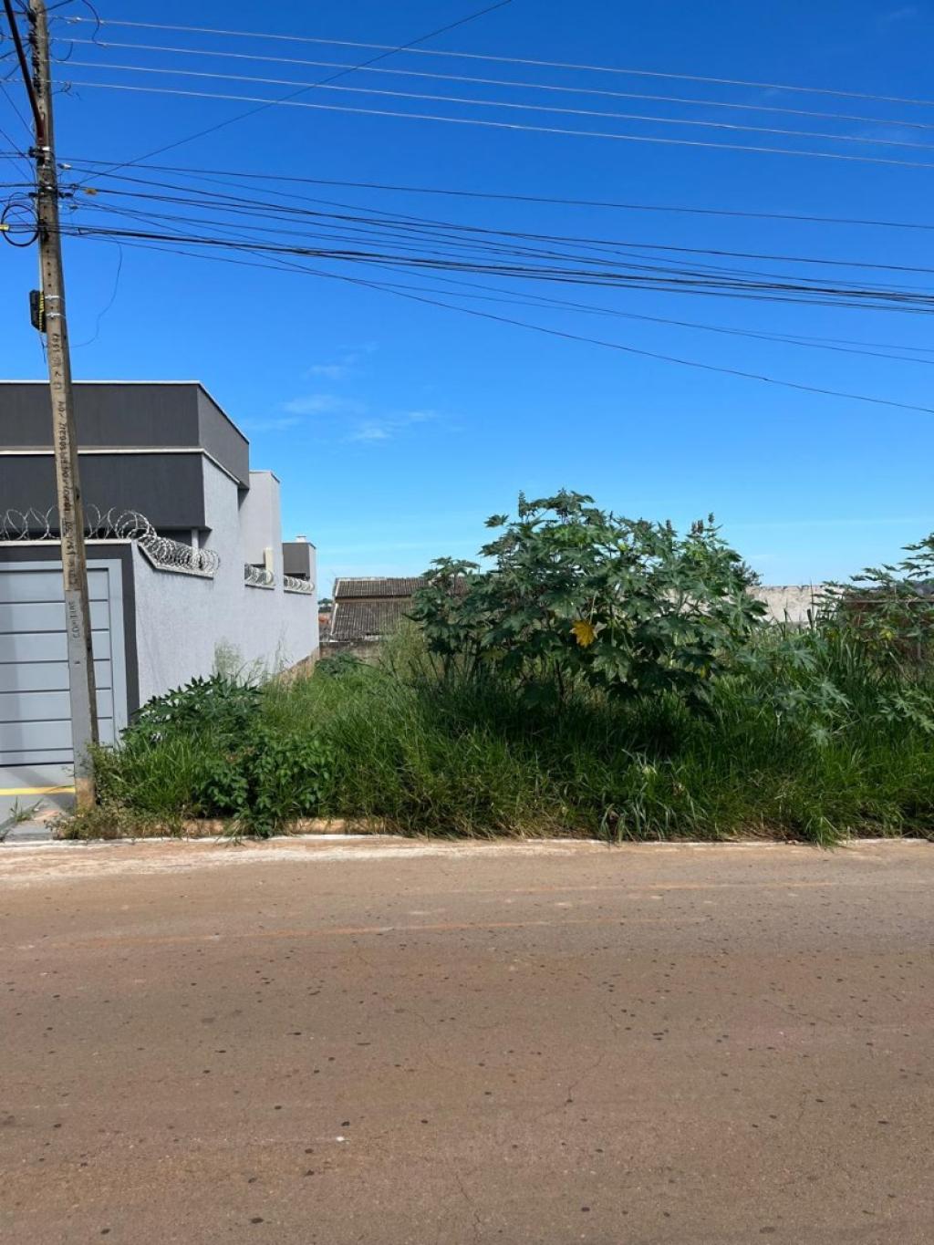 Primeira Dica