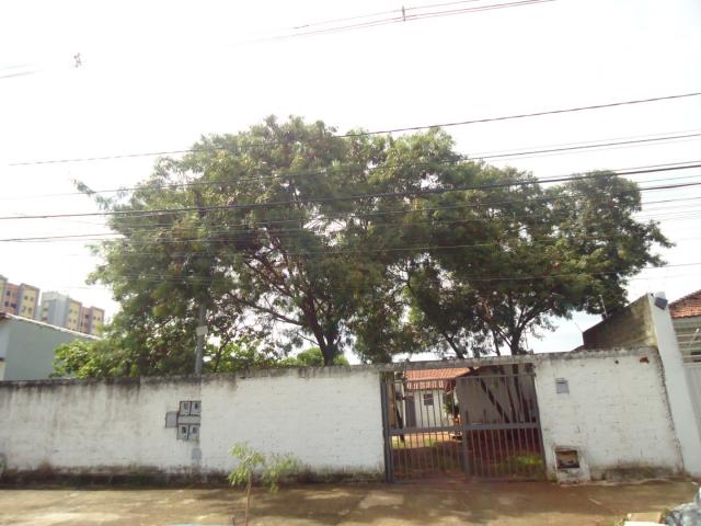 Primeira Dica