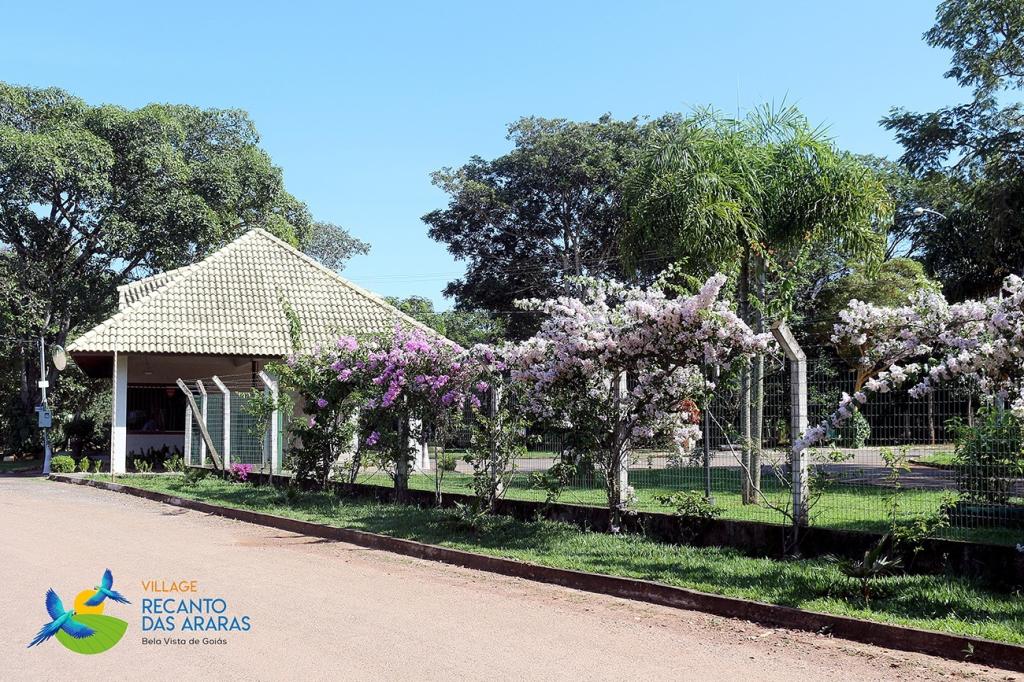 Primeira Dica