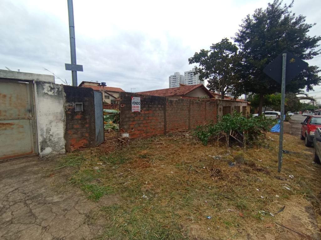 Primeira Dica
