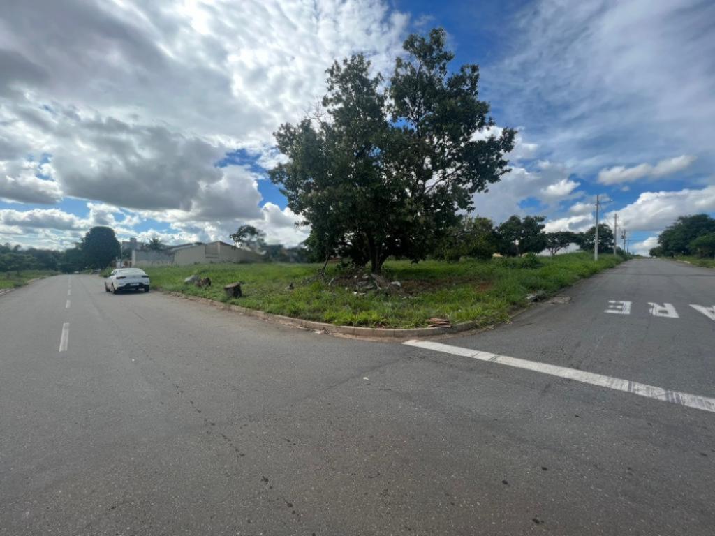 Primeira Dica