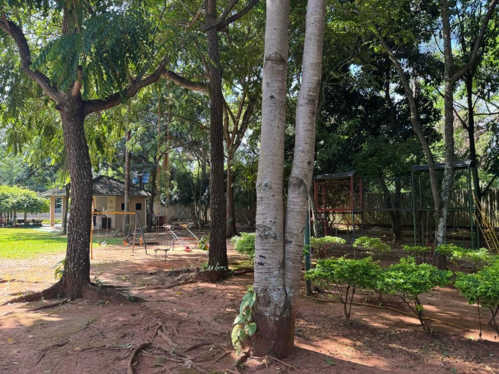 Primeira dica