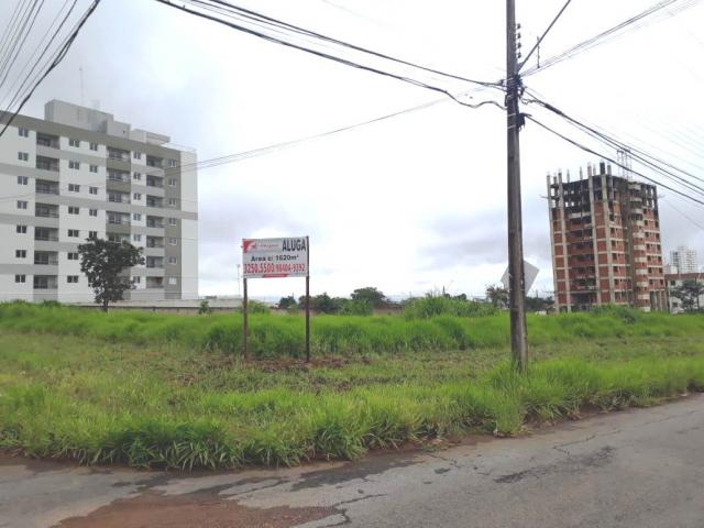 Primeira Dica